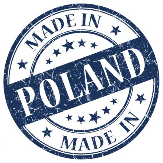 Companies in Poland have a great chance for expansion into the Asian